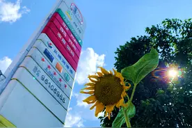 中国石化办卡有优惠？别信，是骗局！图片