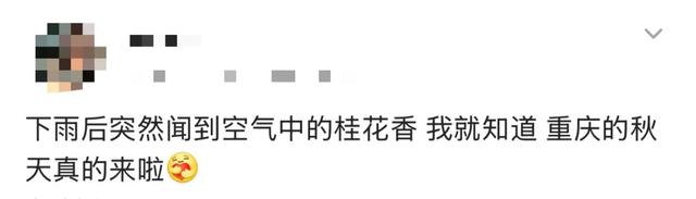“pong”香！“min”甜～重庆这些地方“桂”含量超高