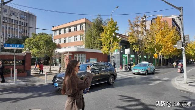 局门路银杏渐入佳境，引路人纷纷驻足打卡