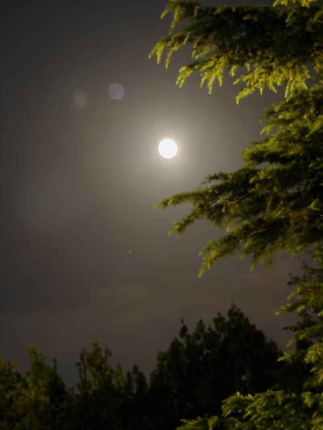济南英雄山秋日夜景