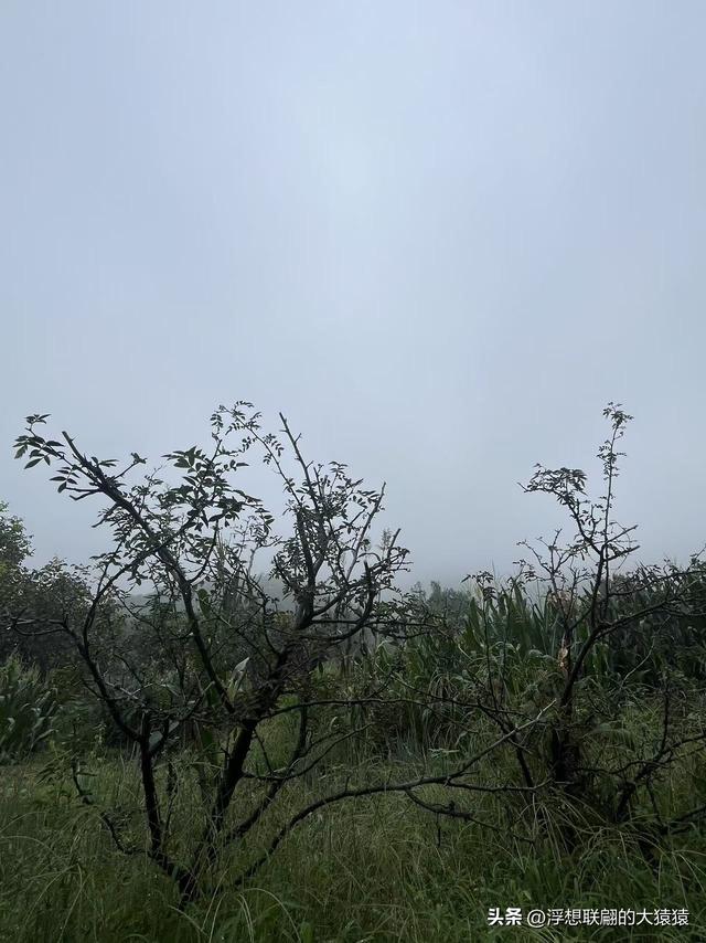 章丘大山深处有一座始建于宋元时期的古庙宇：杓峪庵