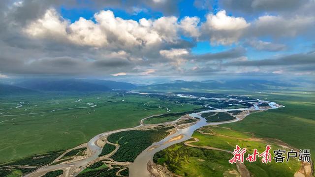 夏日阿万仓：水系成脉 生灵共栖