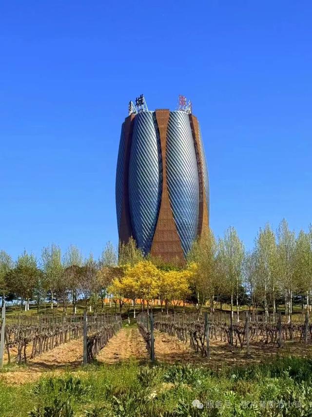 室外免费啦！烟台避暑家庭游圣地——张裕柳林河谷景区焕新升级