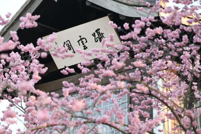 清晨7点的鼋头渚，美爆了