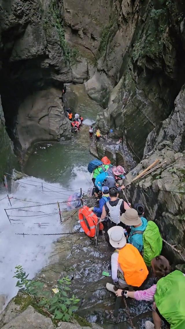 南太行“一线天”被羊群占领，山羊轻松攀登近90度峭壁，春夏秋三季经常“堵人”
