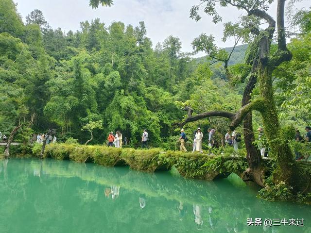 无为在歧路，贵州六日行（20）～总结篇