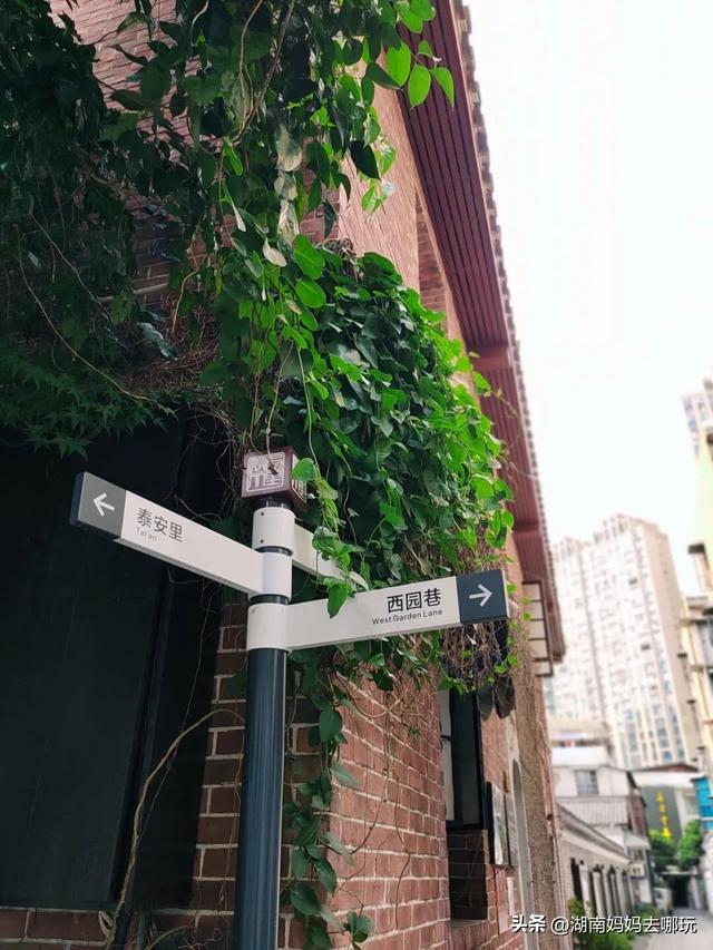 官宣！2025省级亲子宝地出炉！专治遛娃没头绪