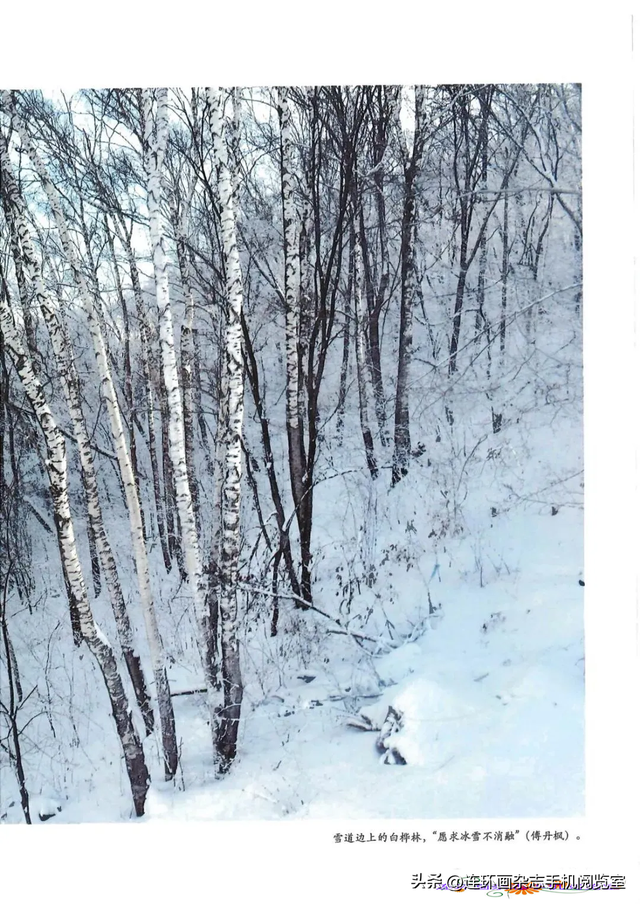 《青山草木》页选03