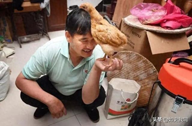 国家终于介入！大衣哥案判了，闹事女下场解气，但别欢呼的太早