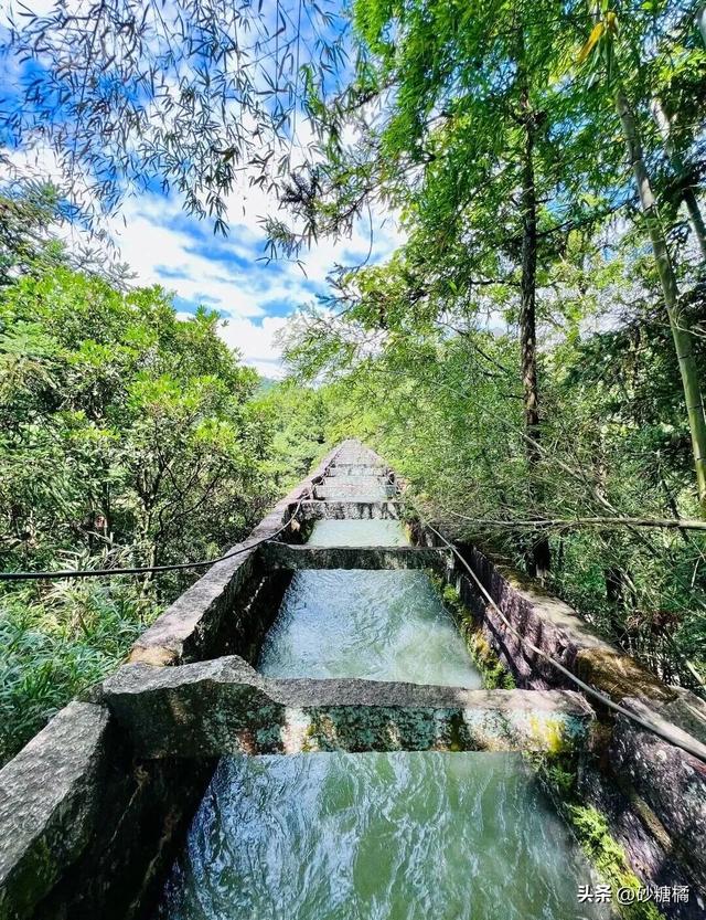 厦门徒步+神庙逃亡太酷辣！被种草的天然氧吧，太惬意啦~