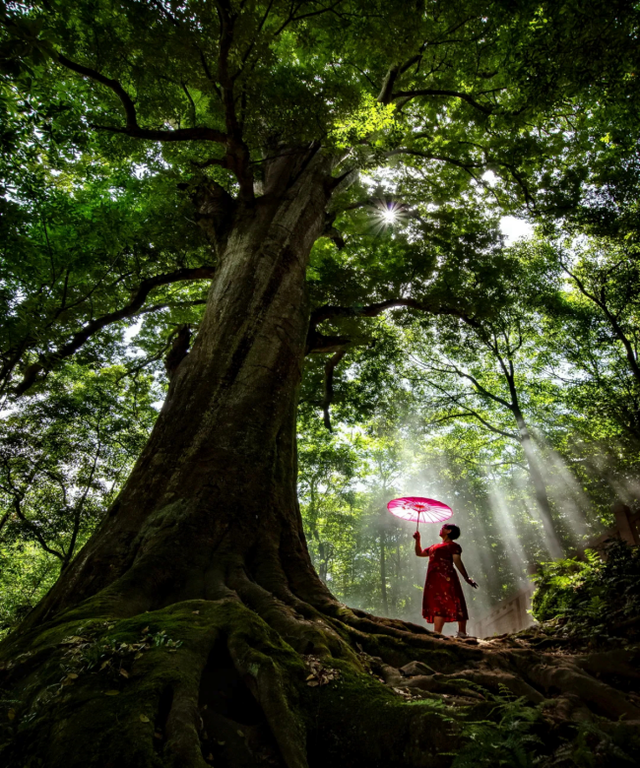 雅安雨城交旅融合：大道通衢处 文旅正兴时