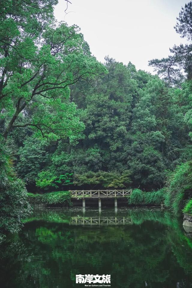 初见南岸丨开学季解锁山城新“层”次！