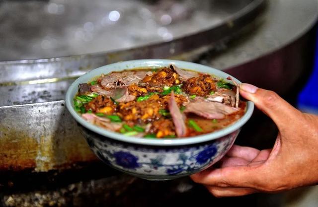 趁天晴出发！洛阳这片杉林红了！无需门票…