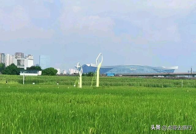 成都三元地铁又上新风景，超级惊艳，不要门票，地铁直达！