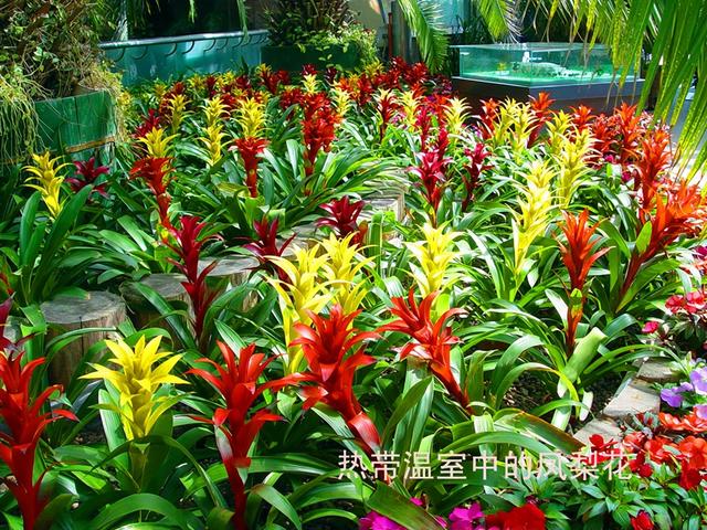 北京旅游：走进西山脚下的植物园（图）