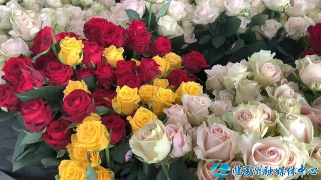 这一次，不得不去临夏了