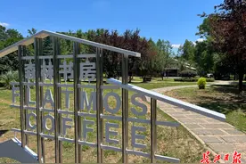 走进武汉“森林书房”避暑：阅读、清凉、美景一样不少图片