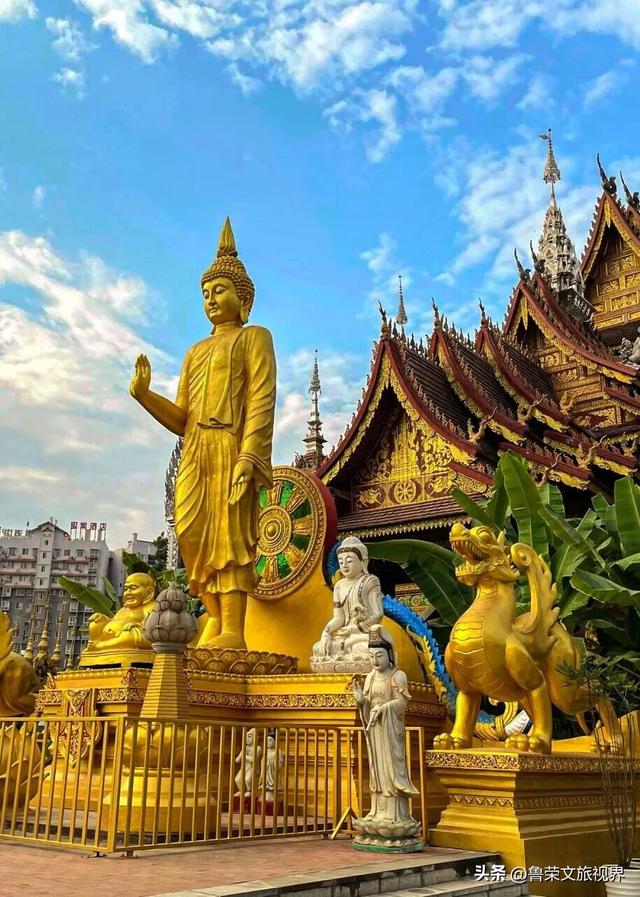 北回归线上的绿宝石：西双版纳的暖冬秘境