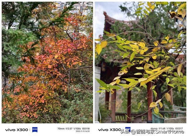 避开秋假人群，用vivo X300记录川西的小众美景