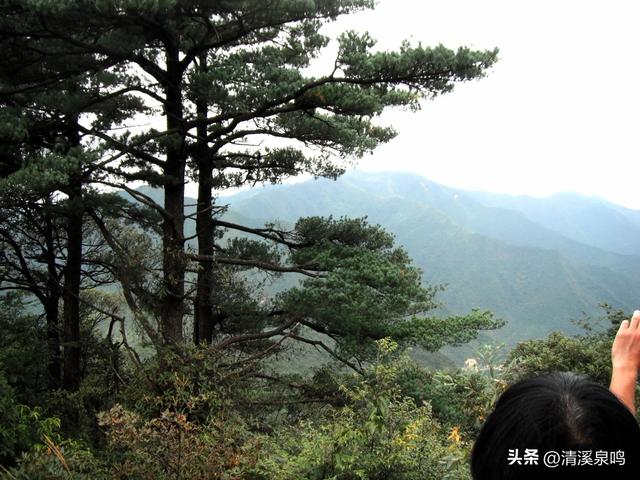 蓝松志