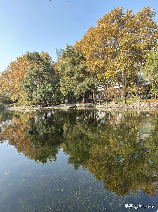 沿着鲁迅的足迹，赏上海秋日美景