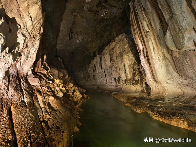 马来西亚(29)砂拉越州③姆鲁山清水洞·风洞