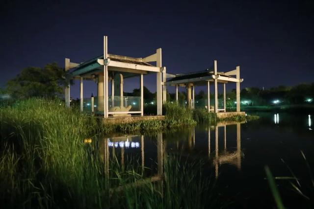 空调续命？也可夜游仙林