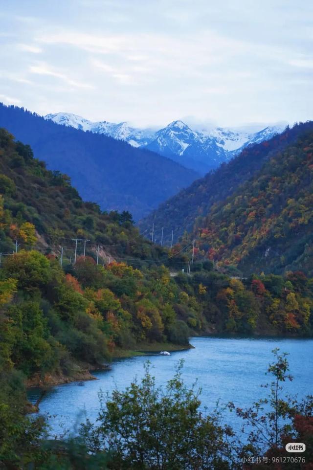 正式通车！全线免费！新挖赏秋天花板小城，绝美彩林不输九寨！地道美食50元吃爽！