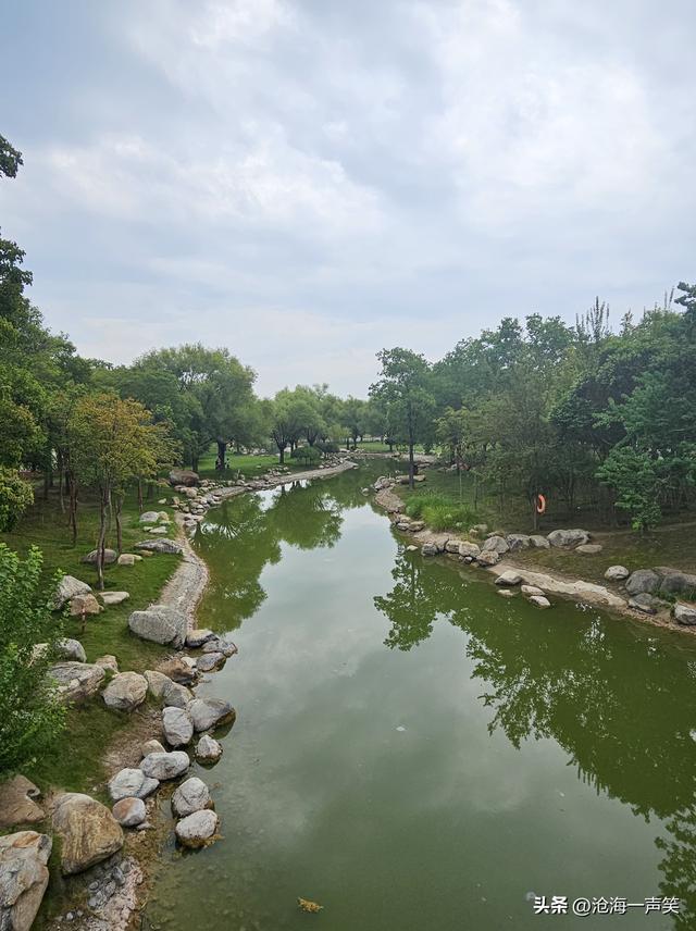 苑城文化公园，桥水相依，荷叶飘香，大道至简，银杏叶子渐黄