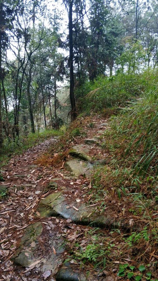 重庆南山被遗忘的千年古道，曾是重庆出川重要通道，如今成为秘境