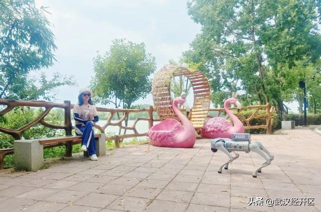 能导览会解说还会拍照 “武汉造”四足机器狗计划年内上市
