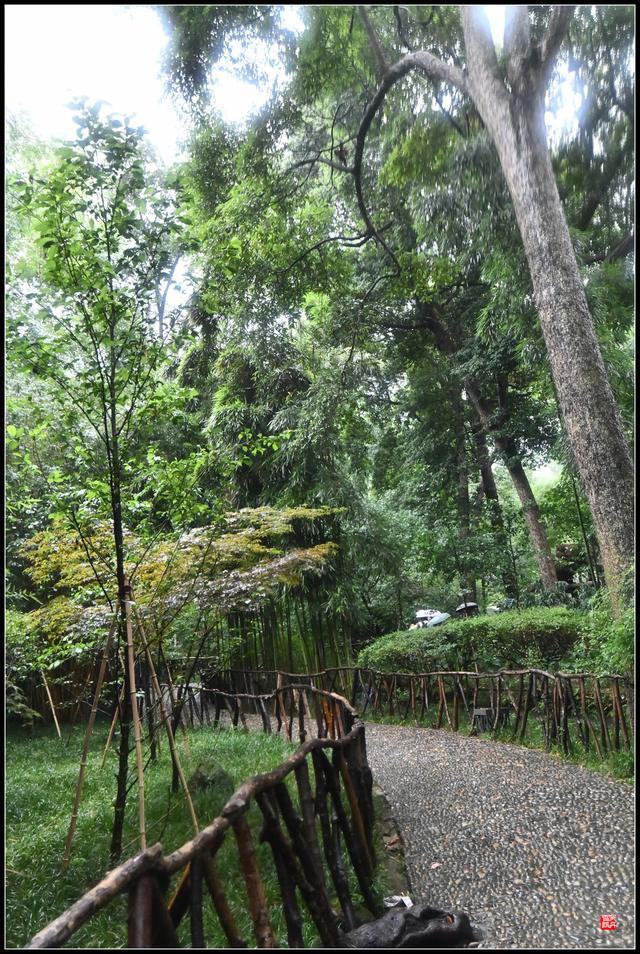 茅屋为秋风所破歌