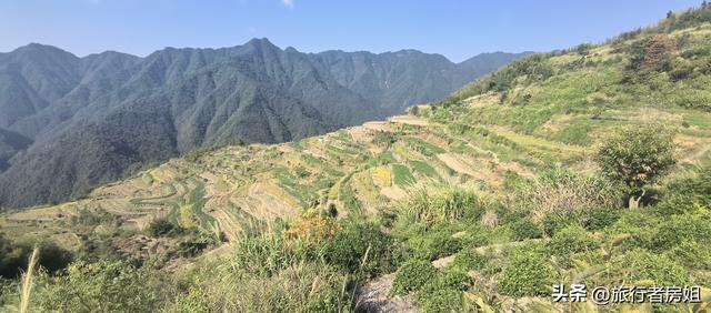 一条古道从浙江到安徽，全程经过三个古村落