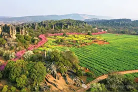 快@她！多地官宣：免费、半价图片