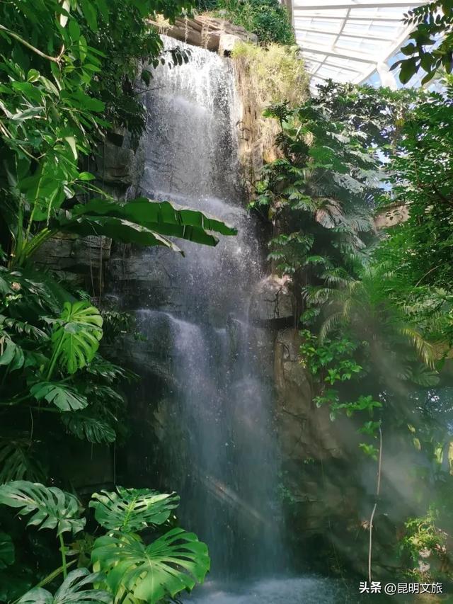 初冬氛围感出片计划,走起!昆明这份打卡攻略速速收藏→