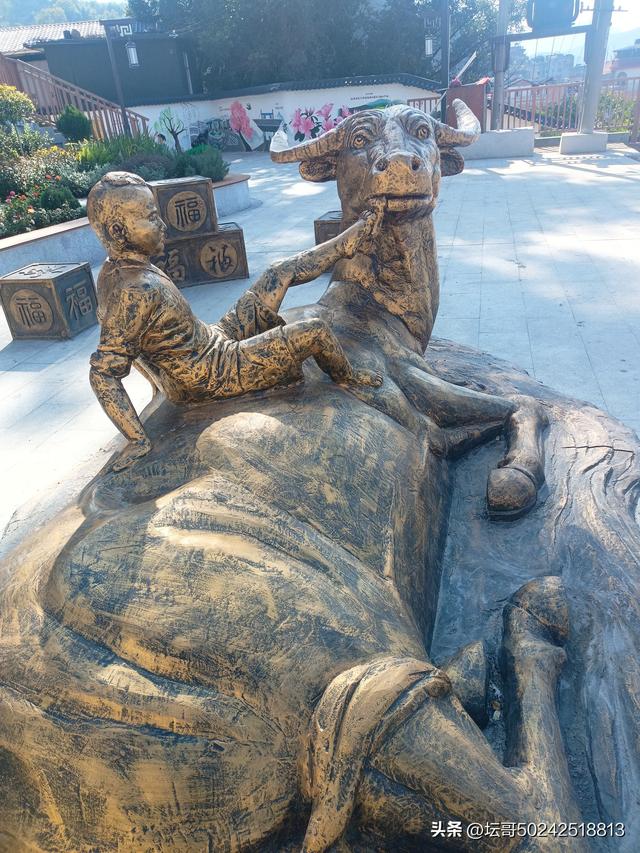 赛岐又一公园走起，快快来吧