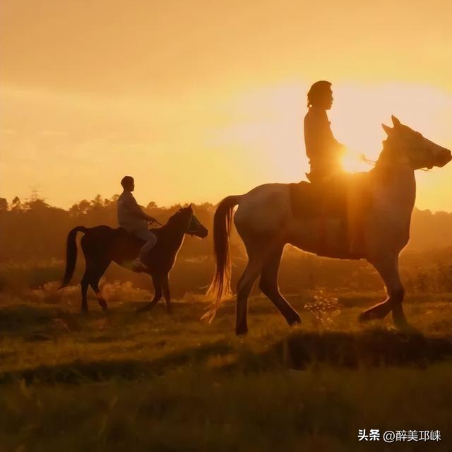 近悦远来·营城兴业丨逛营地、骑骏马！邛崃首家马术野骑营地开启乡村游玩新体验