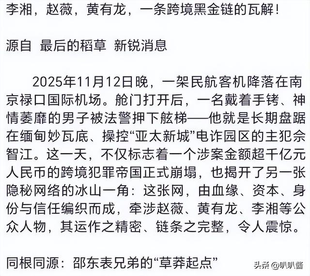 李湘参与缅北诈骗？王诗龄休学？王岳伦崩溃回应，结果大快人心