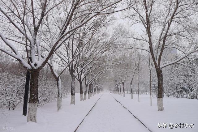 “春节冷不冷，就看冬至”，明日冬至，2026年春节特别冷吗？