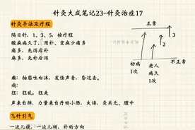 倪海厦讲针灸27-针灸治症17图片
