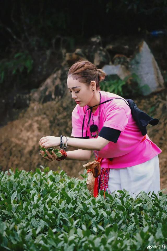 重阳登高何处去？安溪邀您赏花踏秋，解锁「茶山+云海」双景模式