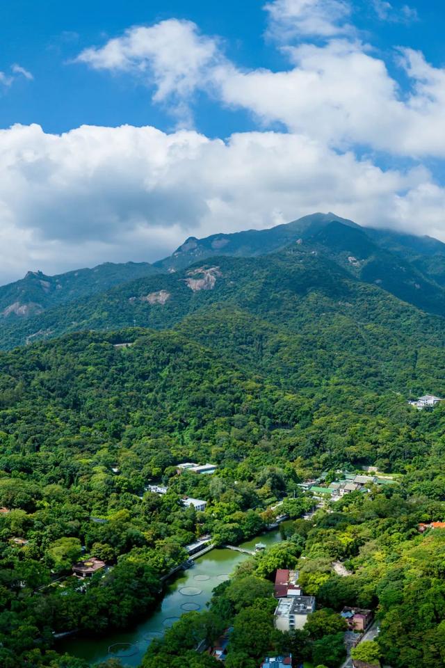 来了！知名主持人倪萍打卡罗浮山！