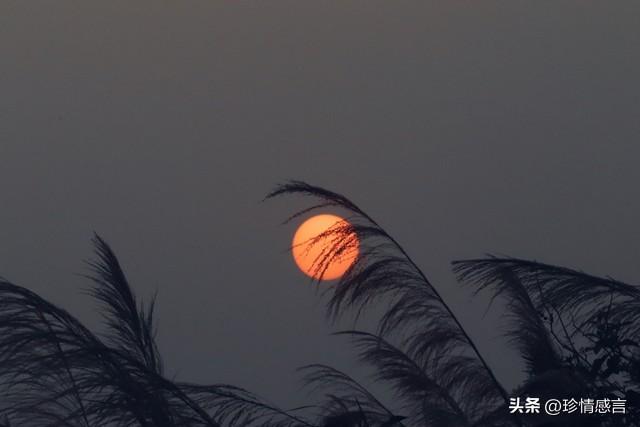 两性关系:不管你信不信，女性过了55岁后	，基本都有这7个现状