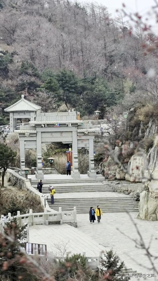 泰山今冬首场降雪，把千年名山裹成诗意画卷！