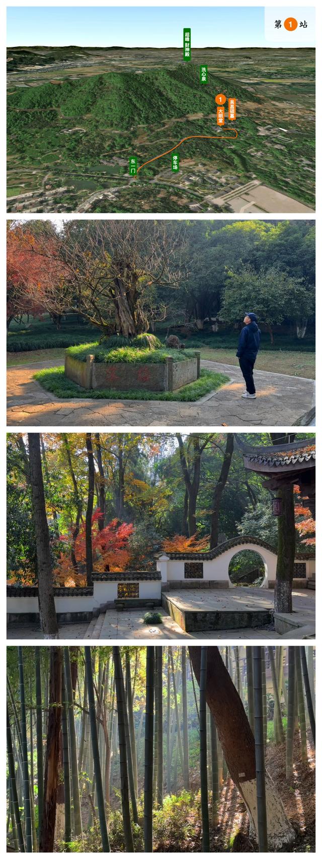 杭州小而美徒步路线：斑斓而沉默的超山，人少景美