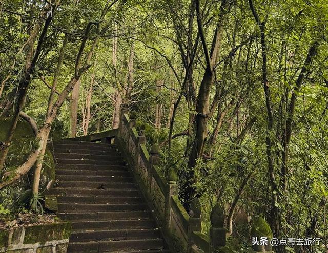 成都龙泉森林徒步路线，被严重低估，不要门票，拍照超级出片！