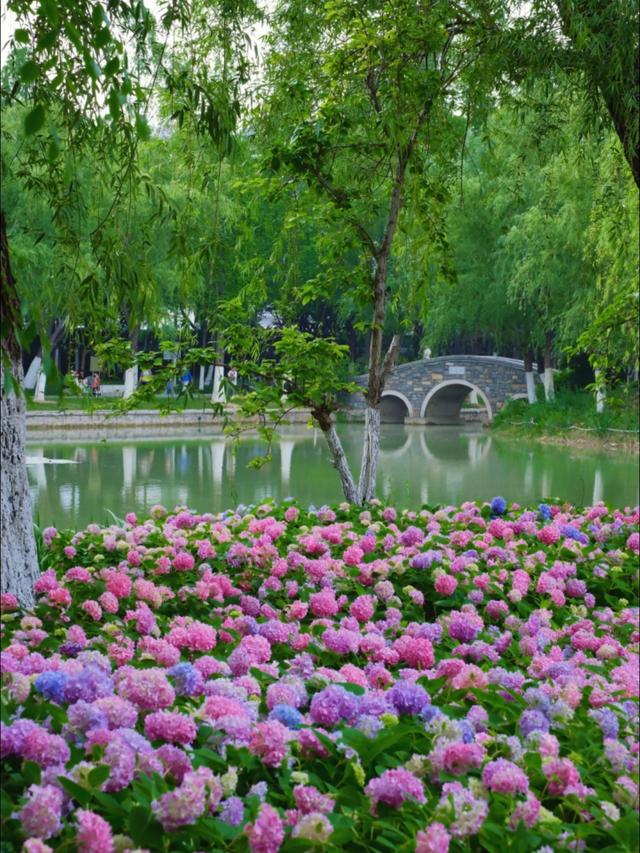 合肥下一个主城或将诞生？不是肥西、肥东，堪称最具黑马相的城区