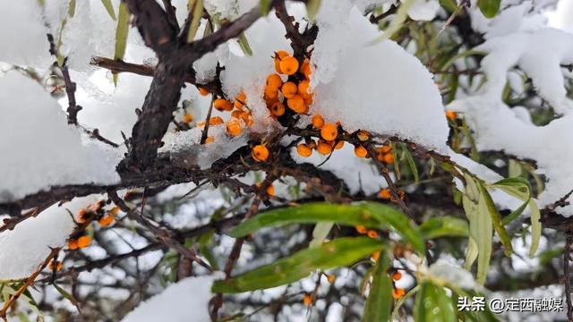 深秋定西，初雪悄然缀山河