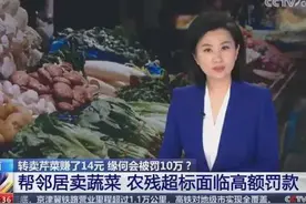 闹大了！张大爷转卖芹菜遭罚款10万后续，央媒发声，法院判决来了图片