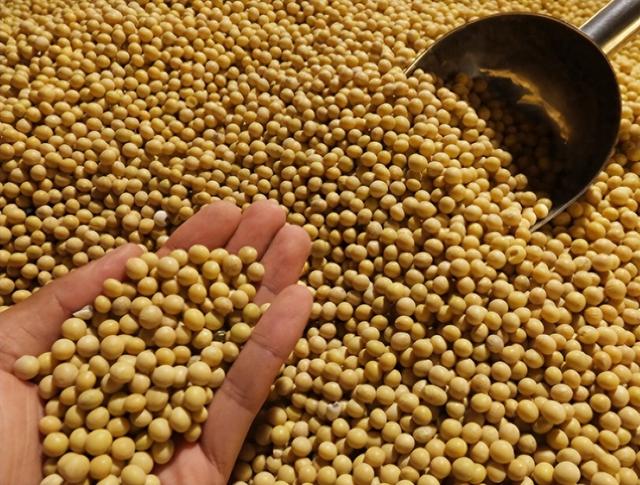 日韩上演争“爸”赛？ 同时宣布大豆紧缺，拟定采购美国大豆！